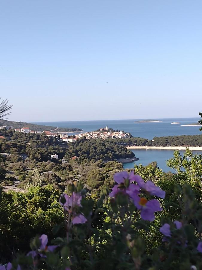 Apartmani Zmiric Primošten Exterior foto